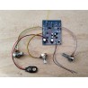 Ion detector (UF-1 Project SMD)