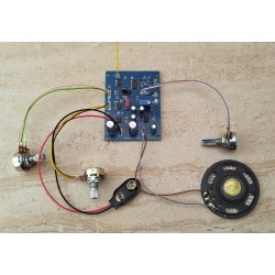 Ion detector (UF-1 Project SMD)