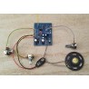 Ion detector (UF-1 Project SMD)