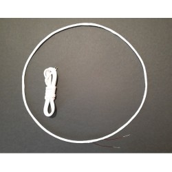 PI metal detector (Pulse...