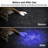 UV Flashlight