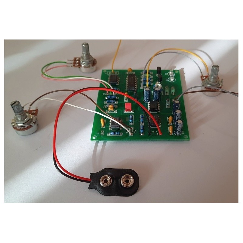 Ion detector