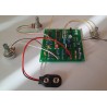Ion detector