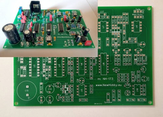 PI detector for deep searching (NH-173 Project)